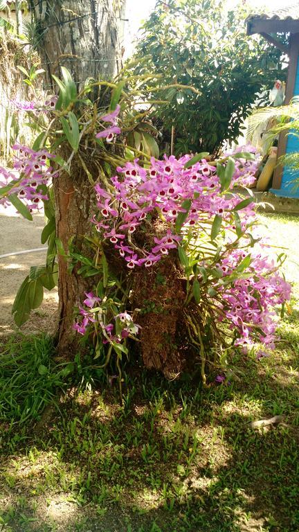 Estacao Paraiso Chale Bertioga Dış mekan fotoğraf